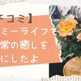 ブルーミーライフ口コミ