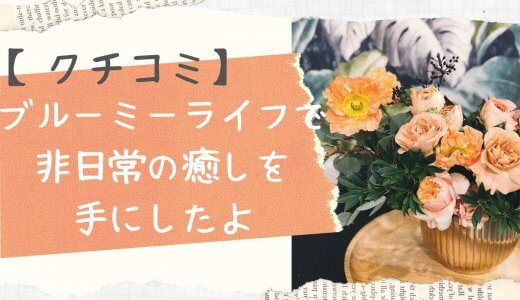 人気のお花の定期便ブルーミーの口コミ！癒し目的で始めてみた