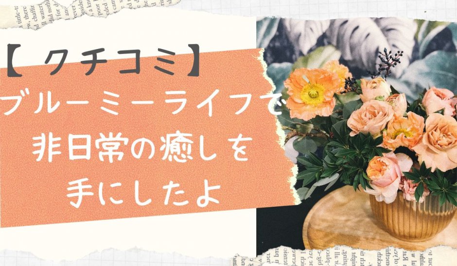 ブルーミーライフ口コミ